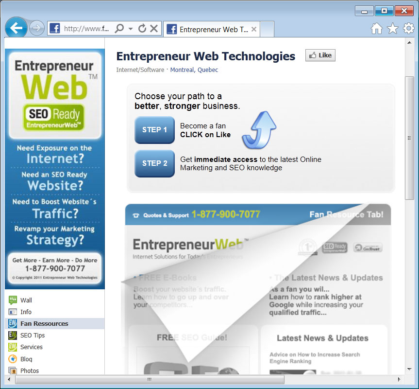 Click to see this Custom Fan Page Design