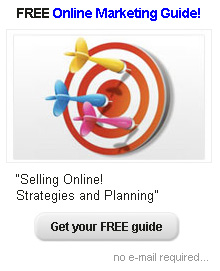 FREE online marketing guide. No e-mail required...