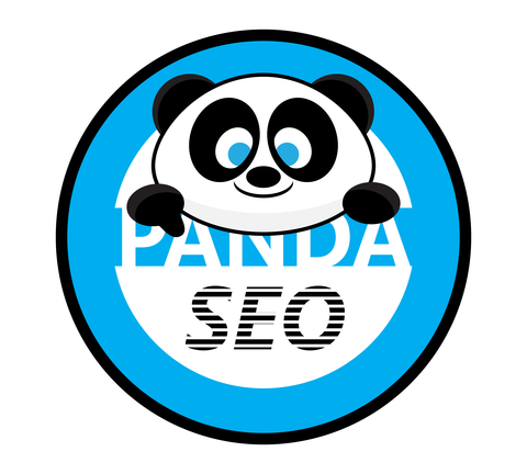 What is the Google Panda Update?